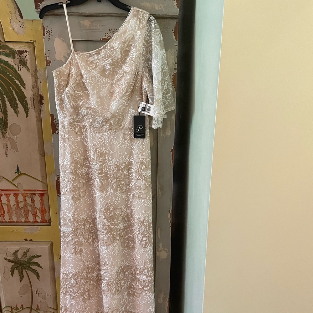 Dress/Arianna papell